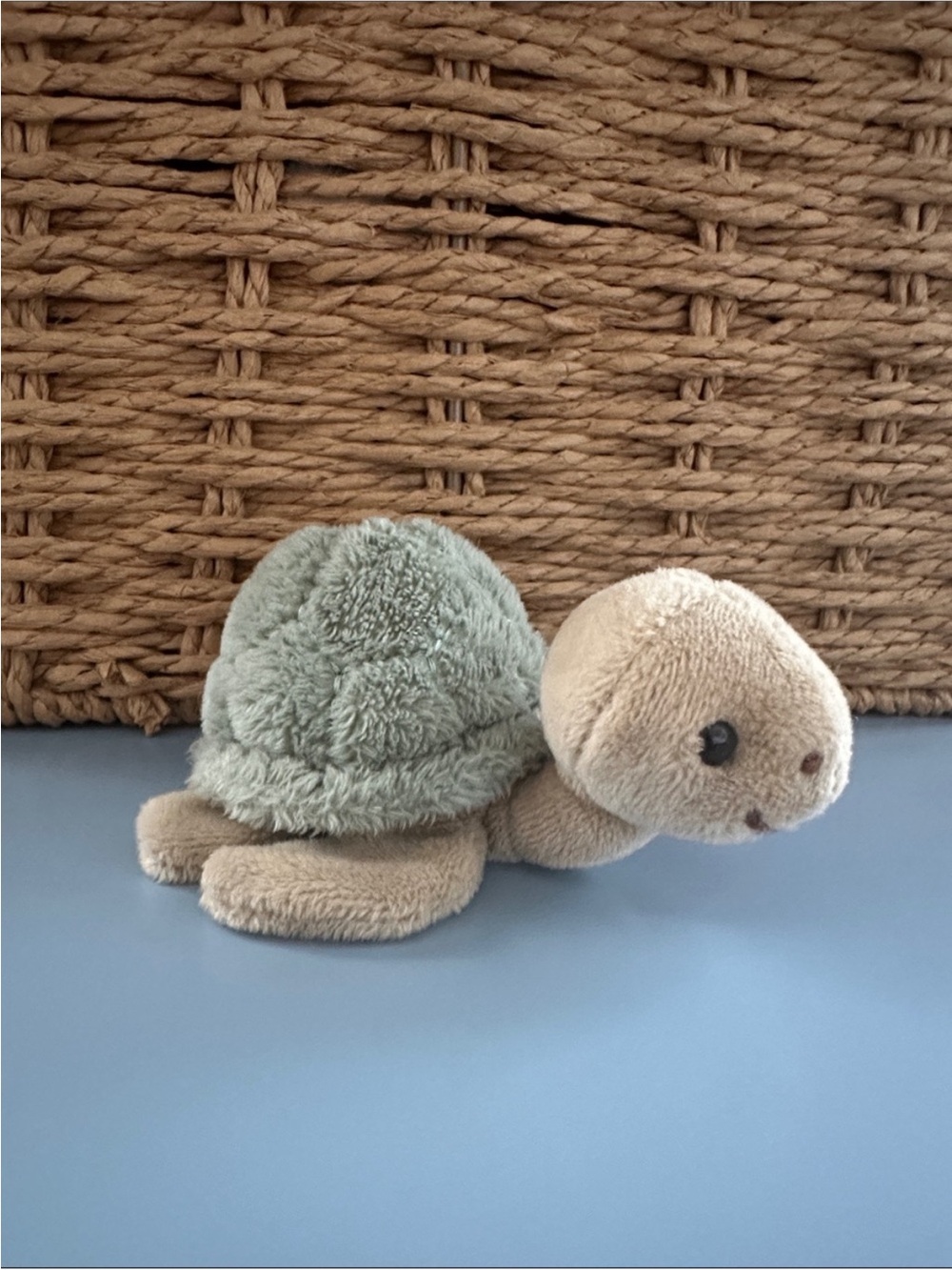 Bukowski Baby Sandy Turtle